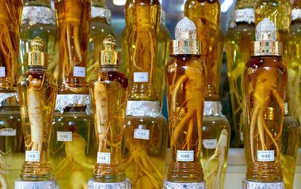 bottles of herbal medicine